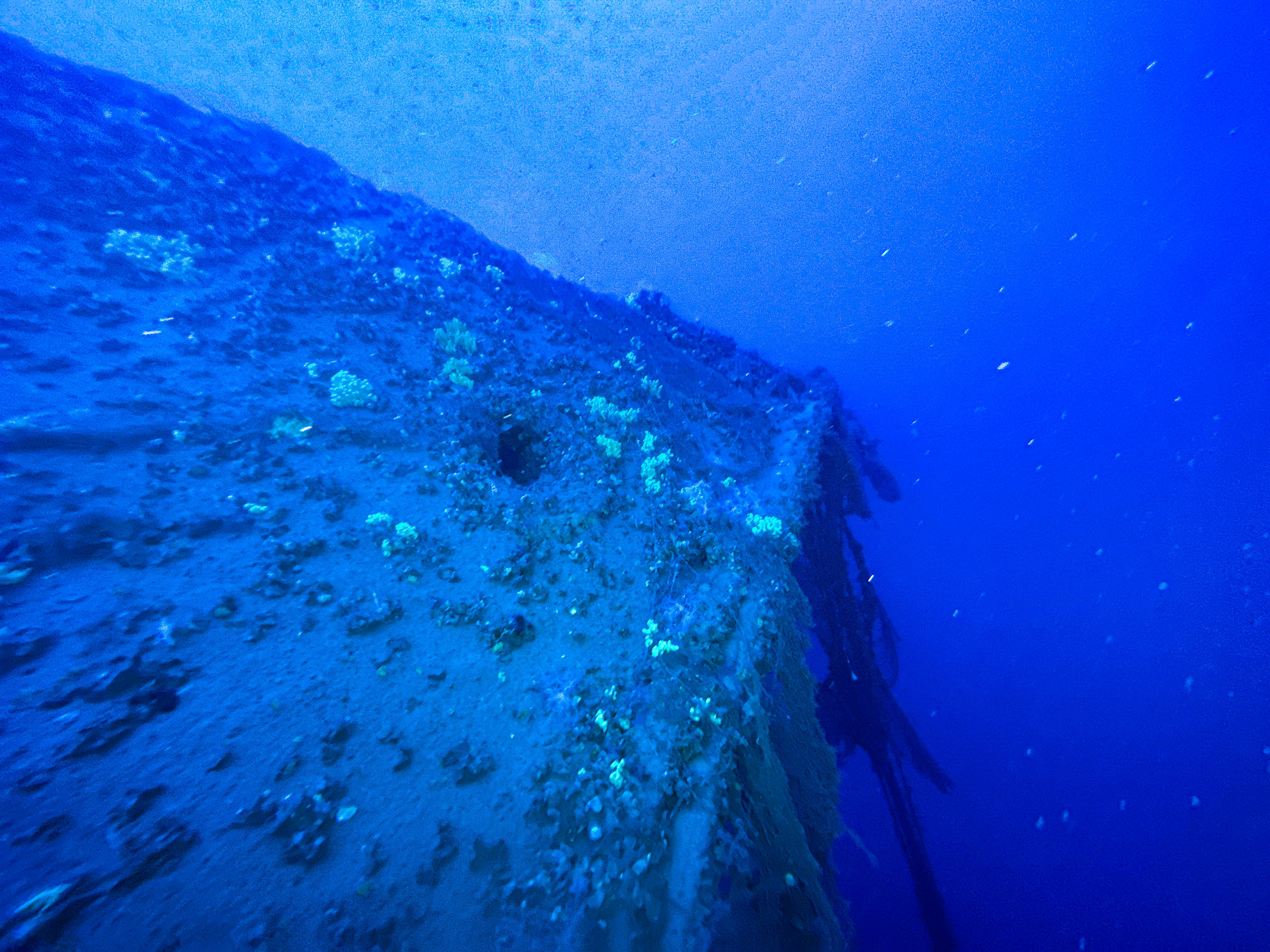 Relitto TIRPITZ